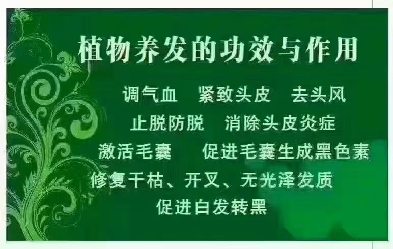 新澳门免费公开资料大全