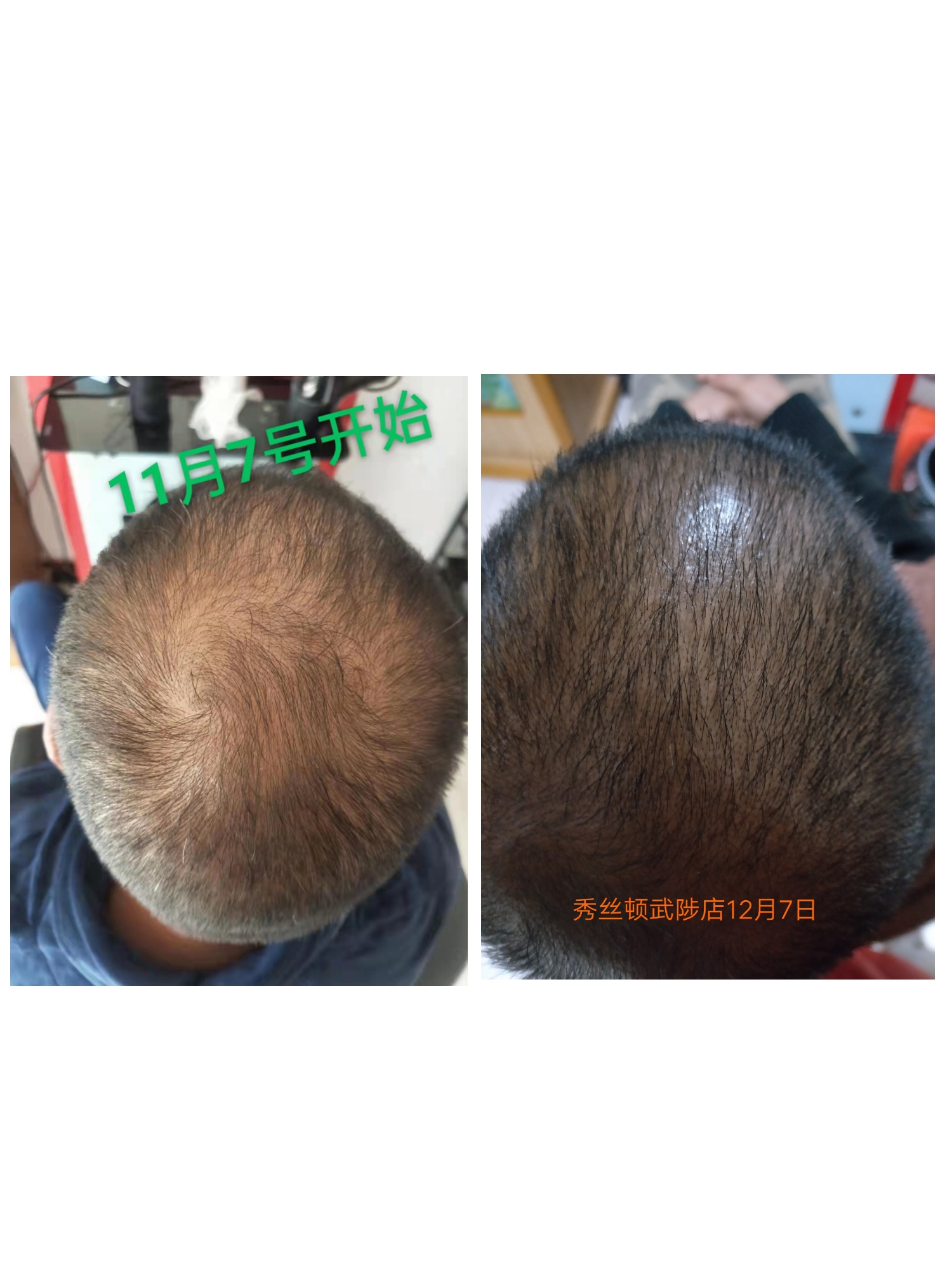 新澳门免费公开资料大全