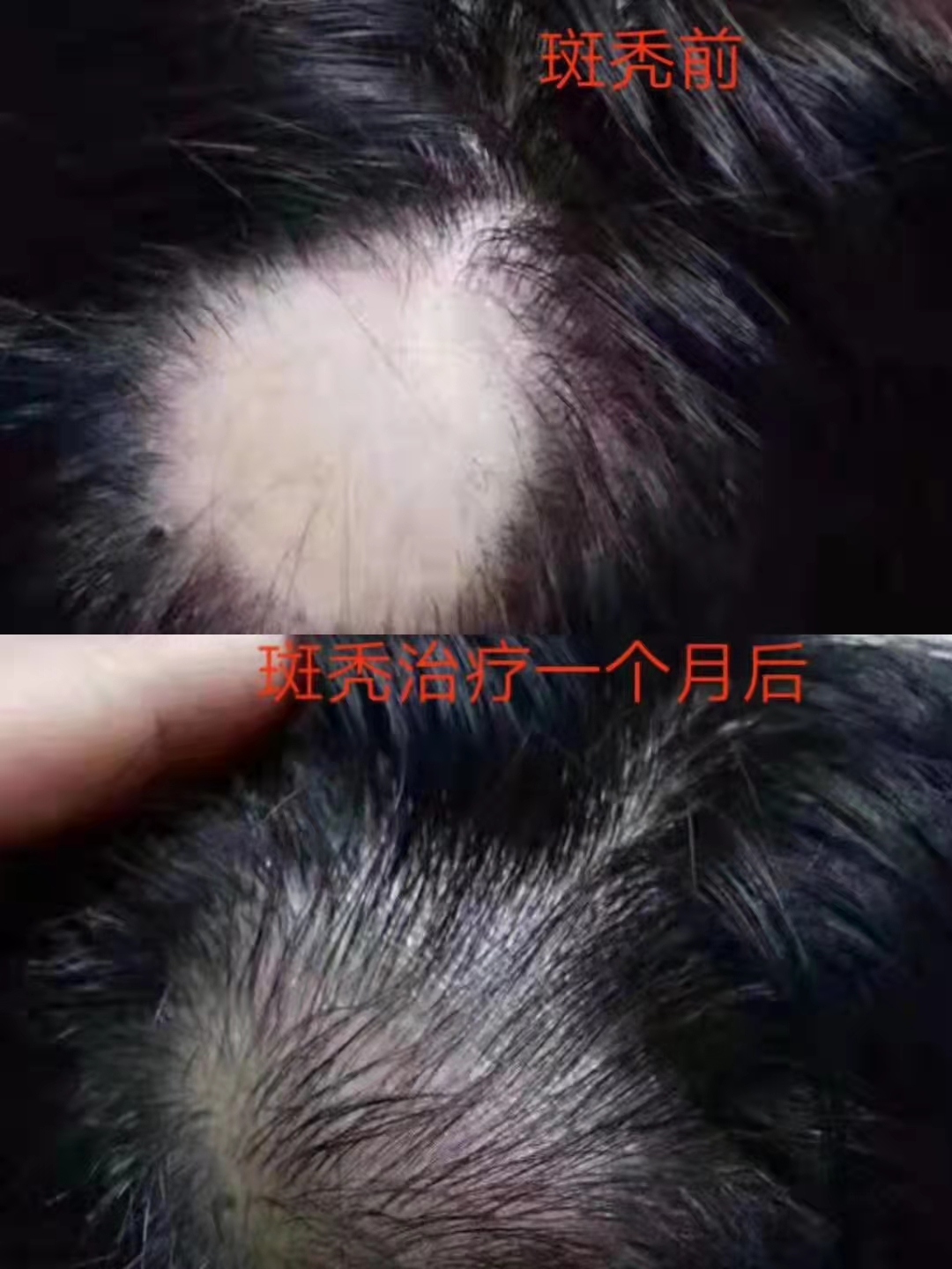 新澳门免费公开资料大全